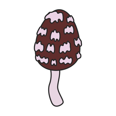 Amanita vector icon. Color vector icons isolated on white background amanita.のイラスト素材