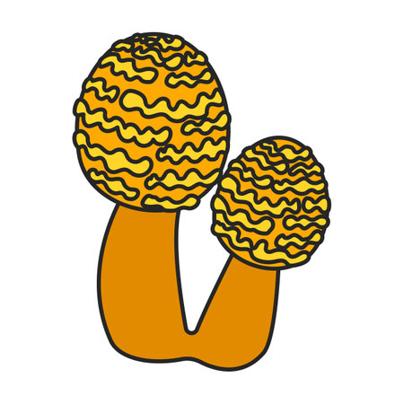 Amanita vector icon. Color vector icons isolated on white background amanita.のイラスト素材