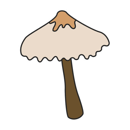 Amanita vector icon. Color vector icons isolated on white background amanita.のイラスト素材