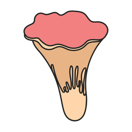 Amanita vector icon. Color vector icons isolated on white background amanita.のイラスト素材