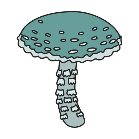 Amanita vector icon. Color vector icons isolated on white background amanita.のイラスト素材