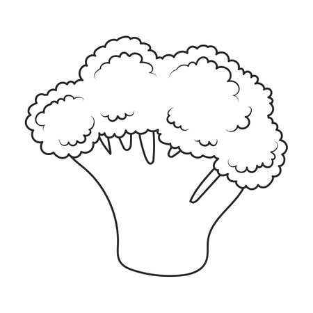 Broccoli vector icon. Outline vector icons isolated on white background broccoli.のイラスト素材