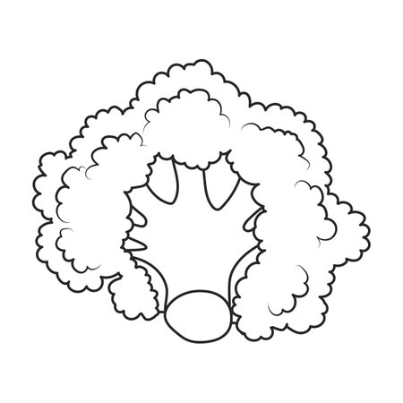 Broccoli vector icon. Outline vector icons isolated on white background broccoli.のイラスト素材