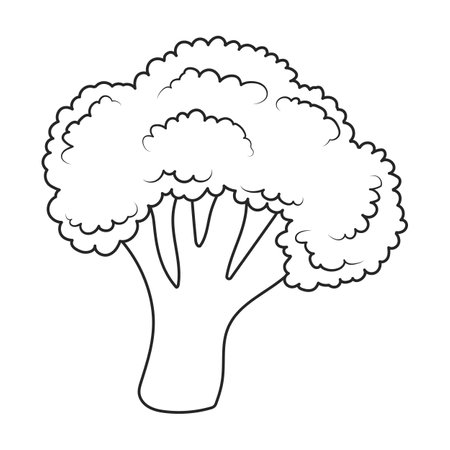 Broccoli vector icon. Outline vector icons isolated on white background broccoli.のイラスト素材