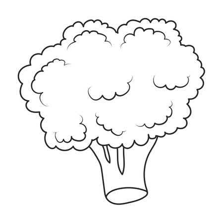 Broccoli vector icon. Outline vector icons isolated on white background broccoli.のイラスト素材