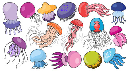 Jellyfish vector color icon. Isolated color set icons medusa.Vector illustration jellyfish on white background .のイラスト素材