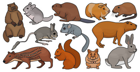 Species of rodents vector color set icon. Isolated color set icons gnawer.Vector illustration species of rodents on white background.のイラスト素材