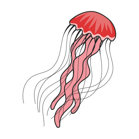 Jellyfish vector icon.Color vector logo isolated on white background jellyfish.のイラスト素材