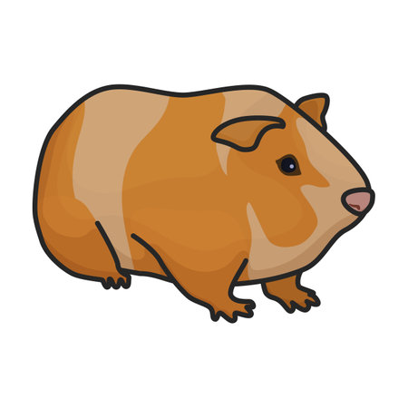 Rat vector icon.Color vector logo isolated on white background rat.のイラスト素材