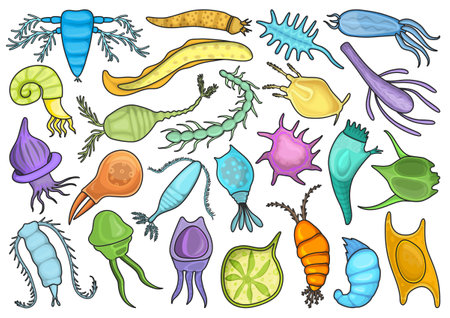 Plankton vector color set icon. Isolated color set icons phytoplankton.Vector illustration plankton on white background.のイラスト素材