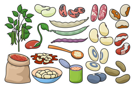 Bean of food vector illustration on white background .Isolated color set icon soybean.Vector color set icons bean of food.のイラスト素材