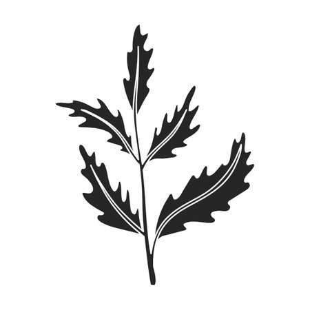 Poppy flower vector black icon. Vector illustration poppy red on white background.のイラスト素材