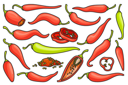 Pepper of chili color vector set icons. Vector illustration chili and red pepper on white background. Isolated set icon red paprika.のイラスト素材