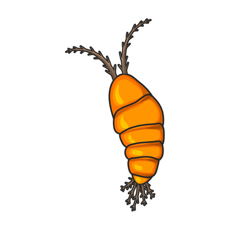 Plankton vector icon.Color vector logo isolated on white background plankton.のイラスト素材