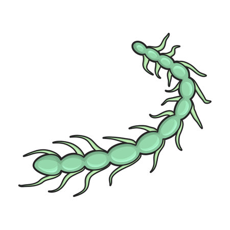 Plankton vector icon.Color vector logo isolated on white background plankton.のイラスト素材