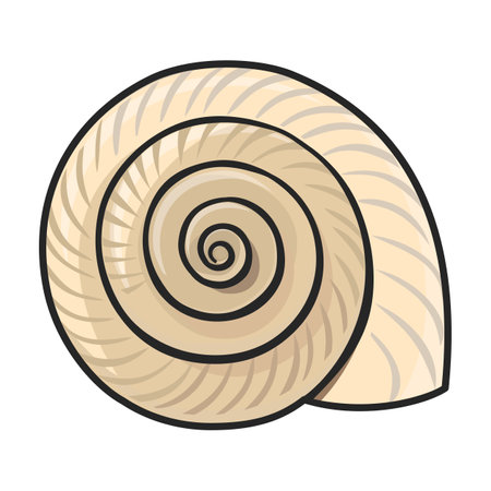 Shell sea vector color icon. Vector illustration sea shell on white background. Isolated color illustration logo of seashell.のイラスト素材