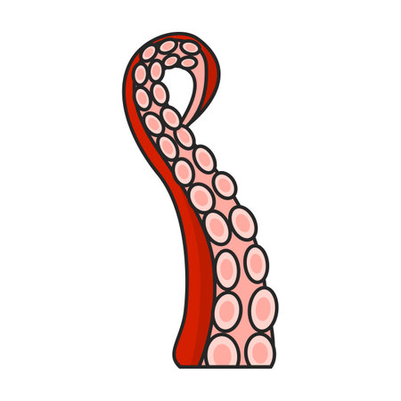 Octopus vector icon.Color vector logo isolated on white background octopus.のイラスト素材