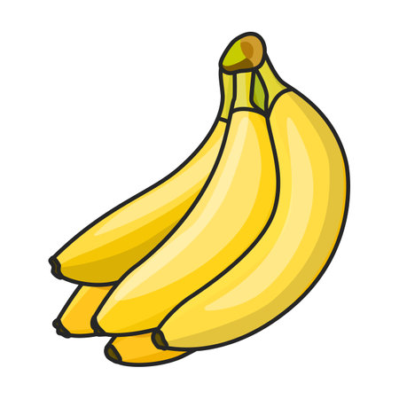 Banana vector icon.Color vector logo isolated on white background banana.のイラスト素材