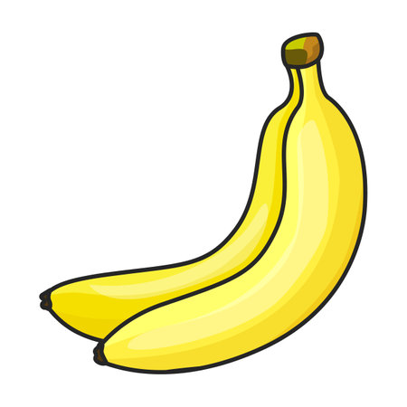 Banana vector icon.Color vector logo isolated on white background banana.のイラスト素材