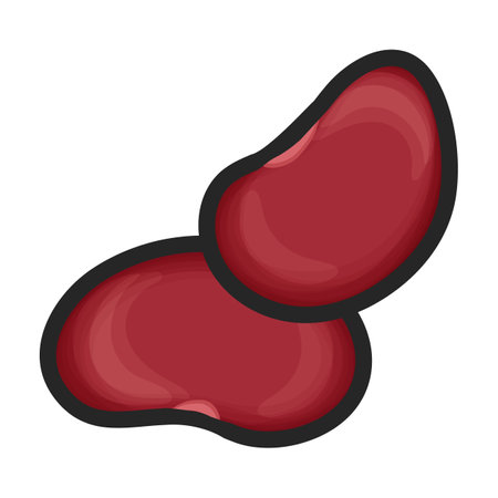 Beans vector color icon. Vector illustration bean on white background. Isolated color illustration logo of beans.のイラスト素材