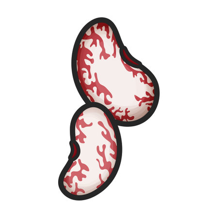 Beans vector color icon. Vector illustration bean on white background. Isolated color illustration logo of beans.のイラスト素材