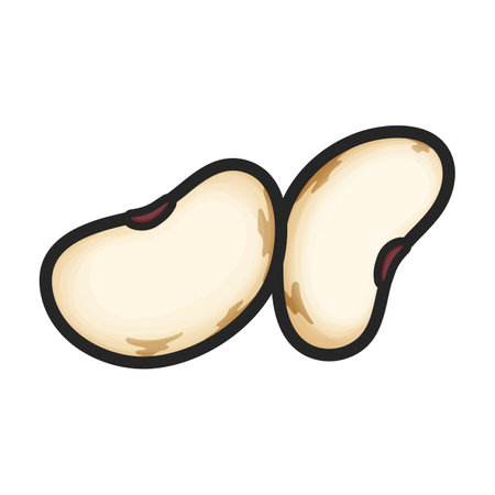 Beans vector color icon. Vector illustration bean on white background. Isolated color illustration logo of beans.のイラスト素材