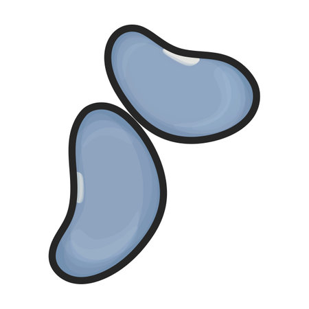 Beans vector color icon. Vector illustration bean on white background. Isolated color illustration logo of beans.のイラスト素材