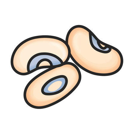 Beans vector color icon. Vector illustration bean on white background. Isolated color illustration logo of beans.のイラスト素材