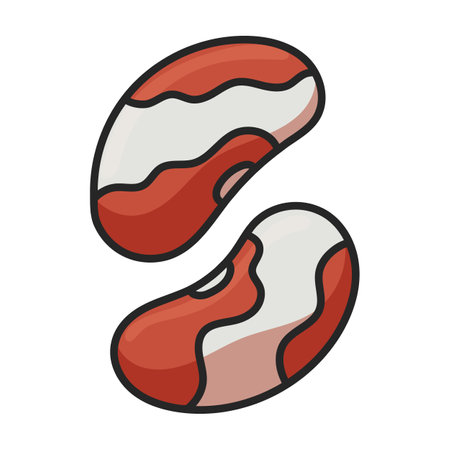 White bean vector icon.Color vector logo isolated on white background white bean.のイラスト素材