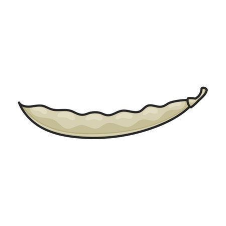 Bean of pod vector icon.Color vector logo isolated on white background bean of pod.のイラスト素材