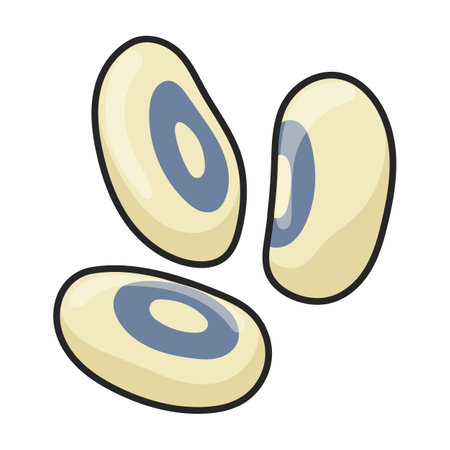 White bean vector icon.Color vector logo isolated on white background white bean.のイラスト素材