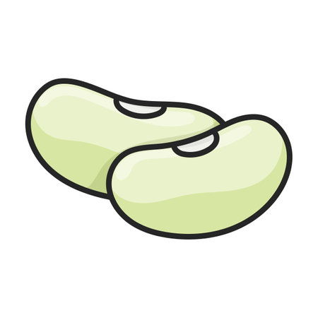 White bean vector icon.Color vector logo isolated on white background white bean.のイラスト素材