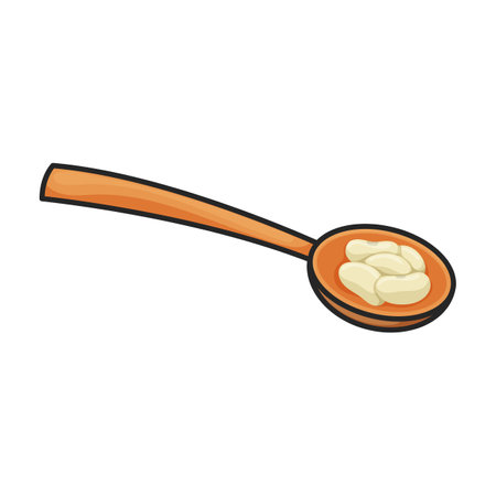 Spoon of bean vector icon.Color vector logo isolated on white background spoon of bean.のイラスト素材