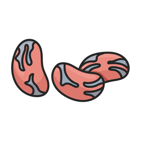 Red of bean vector icon.Color vector logo isolated on white background red of bean.のイラスト素材