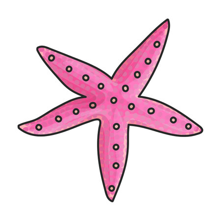 Starfish vector icon.Color vector logo isolated on white background starfish.のイラスト素材