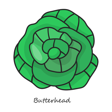 Butterhea vector icon. Color vector logo isolated on white background butterfly.のイラスト素材