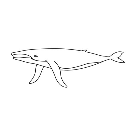 Whale humpback vector icon. Outline vector logo isolated on white background whale humpback.のイラスト素材