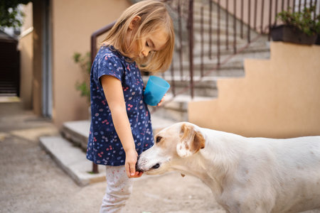 Little girl feeds a dog in a cozy courtyard during sunny afternoonの写真素材