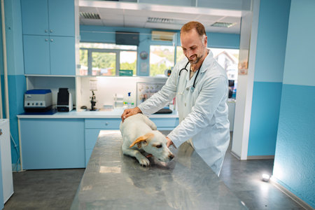 Caring veterinarian examining a playful puppy in a bright clinic