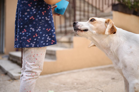 Child interacts with friendly dog in sunny outdoor settingの写真素材