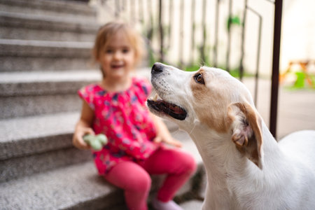 Joyful moments between a child and her playful dog on the stairsの写真素材