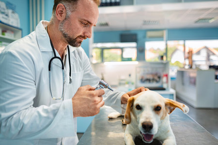 Veterinarian caring for a dog in a bright and welcoming clinic