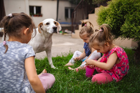 Children playing with a dog in a sunny backyard gardenの写真素材