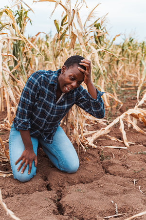 African farmer kneeling in dry cracked soil of maize field during droughtの写真素材