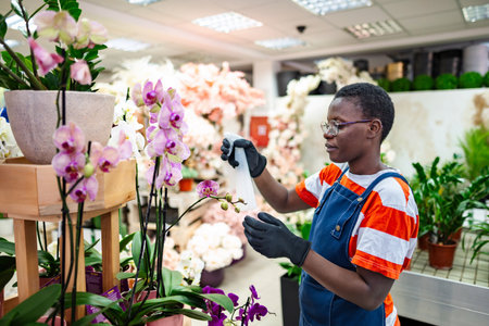 Florist wrapping orchids in plastic film at flower shopの写真素材