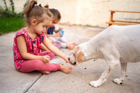 Joyful moments of childhood with a dog in a sunny backyard settingの写真素材