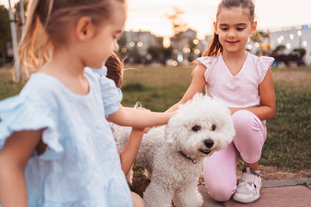 Three preschool age girls petting a bichon frise dog in a parkの写真素材