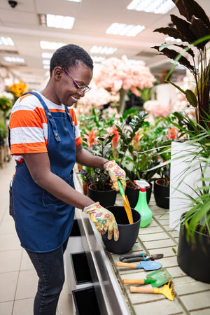 Florist taking care of plants in a flower shopの写真素材