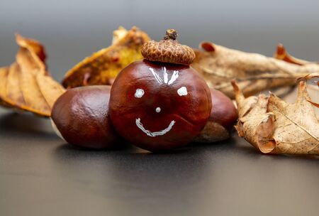 beautiful french chestnut with a smile and beretの写真素材