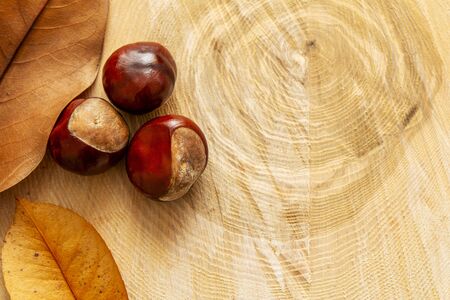 fresh french chestnuts on wooden trayの写真素材